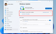 正式发布倒计时！Windows 11 25H2进入RP通道：用户已可升级