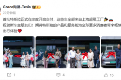 首批特斯拉在印度开启交付 全部来自上海超级工厂