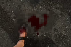 日本东京街头鼠患严重！根本不怕人 有迪拜女游客脚被咬出血