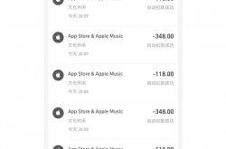 1分钟被刷走4140元！多名用户苹果ID遭盗刷