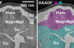 月球科研重大突破！嫦娥六号土特产发现“铁锈”