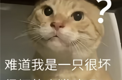 九阳豆浆卖爆了 但哈基米的泼天富贵可能快结束了