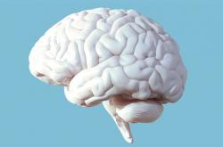 研究发现大脑“断崖式衰老”的3个年龄：57岁、70岁和78岁