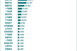 2025年11月新能源汽车厂商销量榜公布：特斯拉跌出前5