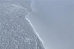 黑龙江水库冰面下现13匹冰冻马 主人：马扎堆喝水落水淹死