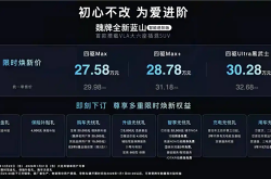 用嘴就能开车！魏牌全新蓝山智能进阶版上市：27.58万起
