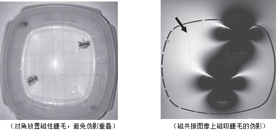 那些总戴假睫毛的人 现在都怎么样了