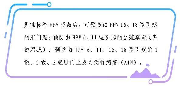 男性HPV疫苗，岳西这些地方可打！