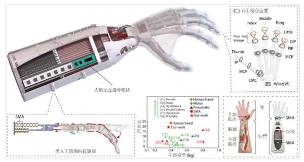 复现人手级运动能力！中国科大研发出19自由度假肢灵巧手