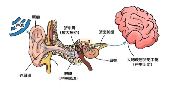 发病率上涨3倍多！好好的年轻人 怎么突然就听不见了