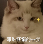 稚晖君机器人神技再现江湖!骑自行车惊呆众人:又抽象又硬核
