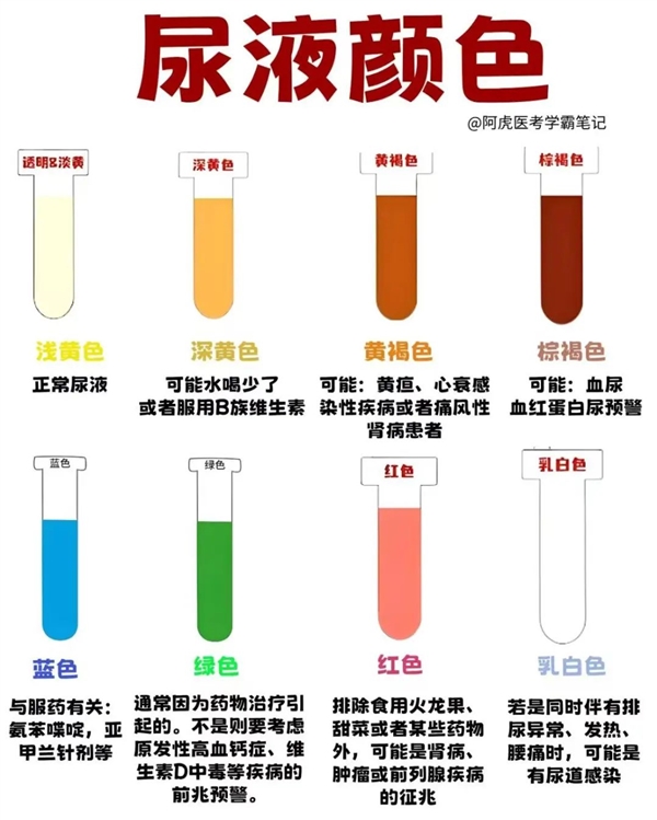 早晨第一泡尿 可能是身体在“喊救命”！这些信号千万小心