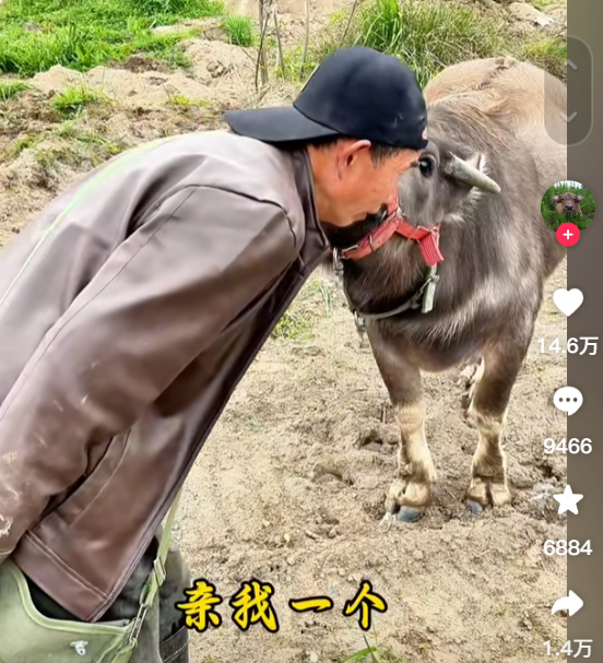 有人做网红靠口才 有人做网红靠坐过牢
