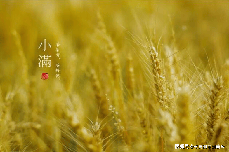 小满来临，记得给家人吃这菜，一清热、二下火、三补水，老少皆宜！