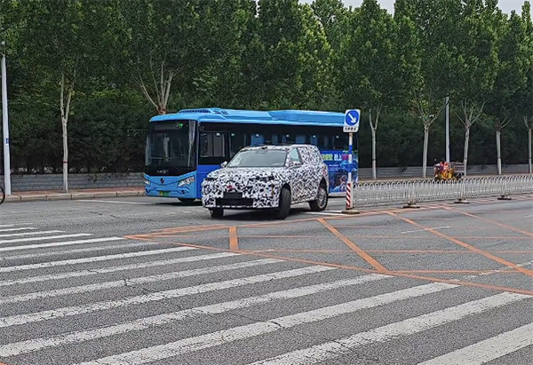 魏牌旗舰全尺寸SUV细节曝光：空悬+后轮转向 掉头丝滑非常