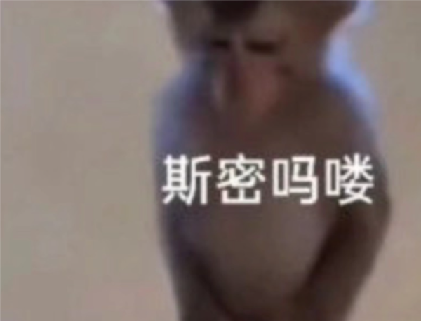 微信也没想到 小蓝包会被玩成这个样子吧