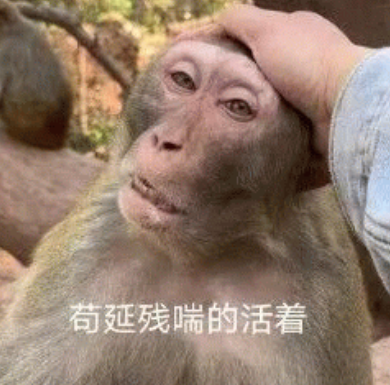 微信也没想到 小蓝包会被玩成这个样子吧