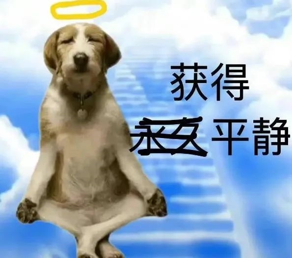 老黄又又又把中国车企坑了!还是看看远处的自研芯片吧