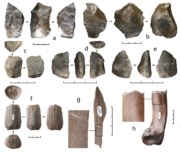 距今最久36万年!云南出土东亚最早木器 揭秘古人生存之道