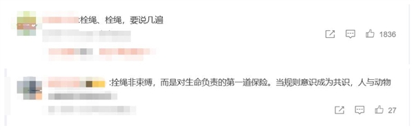 宠物狗未拴绳被碾压:主人失控捶打司机