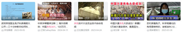 中国人靠着10万头黑猪 把沙壁整顿成了粮仓?