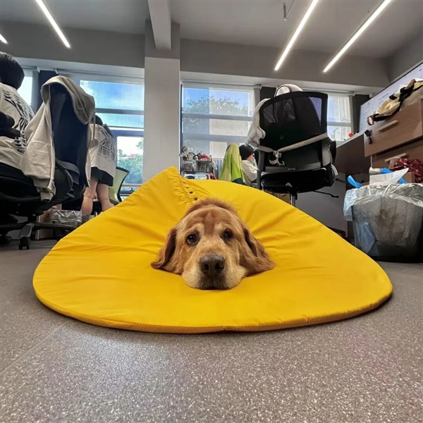 大模型产生幻觉 全怪人类PUA吗