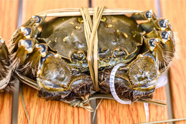 开湖！第一篓阳澄湖大闸蟹由顺丰无人机捞起