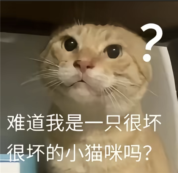 九阳豆浆卖爆了 但哈基米的泼天富贵可能快结束了