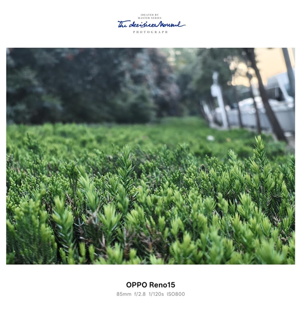 时尚、璀璨、闪耀！OPPO Reno 15评测：6.3英寸掌中影像旗舰！