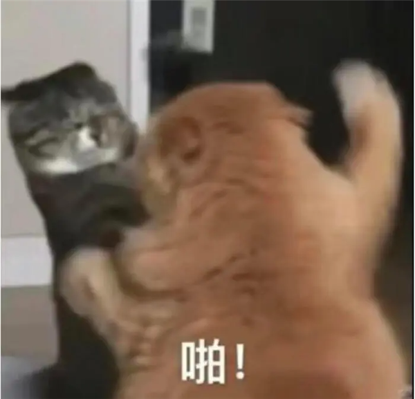 打了2009天的社区团购 还是拼多多笑到了最后 社区团购 拼多多 第8张