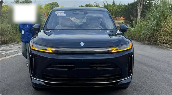 问界M9亲民平替 宝骏华境S内饰曝光：新势力有的基本都配齐 问界M9 第6张