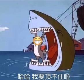 苹果用上了安卓AI 马斯克为啥急得跳脚？ 果用上了安卓AI 第5张