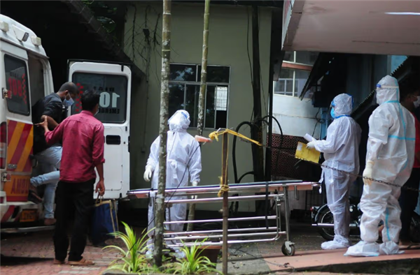 死亡率最高75% 印度暴发尼帕病毒疫情!会像新冠那样蔓延吗 印度尼帕病毒 第3张 死亡率最高75% 印度暴发尼帕病毒疫情!会像新冠那样蔓延吗 印度尼帕病毒 第3张