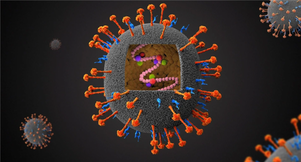 死亡率最高75% 印度暴发尼帕病毒疫情!会像新冠那样蔓延吗 印度尼帕病毒 第5张 死亡率最高75% 印度暴发尼帕病毒疫情!会像新冠那样蔓延吗 印度尼帕病毒 第5张