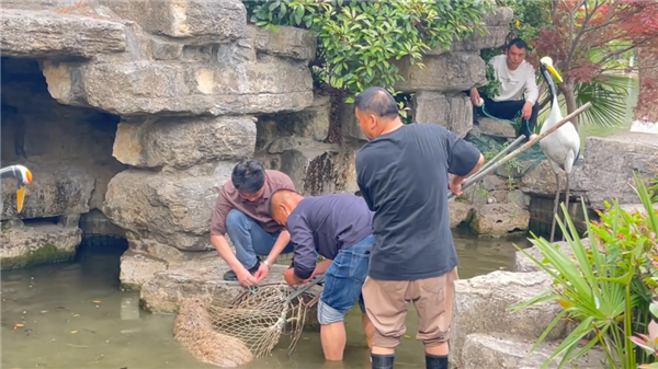 7只狗狗上演大逃亡：本以为是自救励志片 结果是为爱离家出走 7只狗狗上演大逃亡 第7张