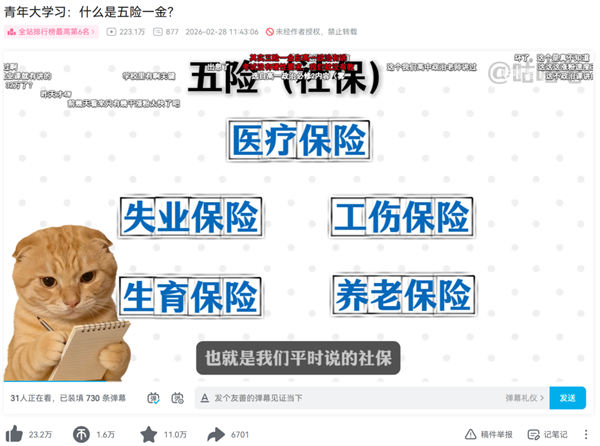 为什么每个人的一生 都会刷到一次大冰切片 大冰切片 第9张