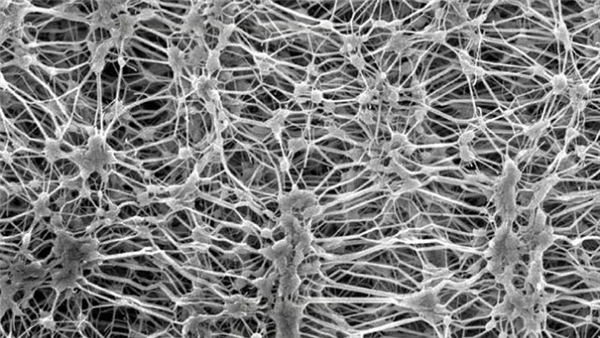 你身上的冲锋衣 可能正在毒害全人类