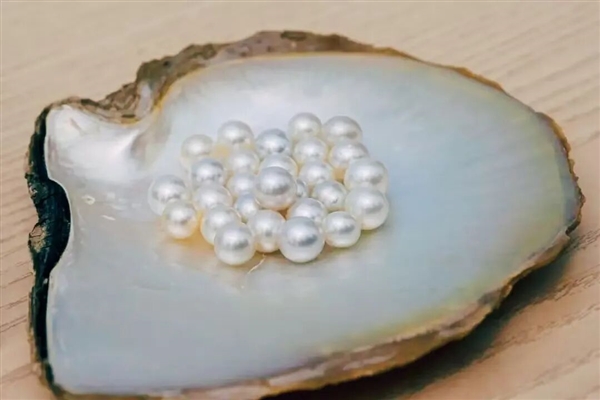 核电站搞出新副业 竟然是产珍珠！ 核电站 珍珠 第1张