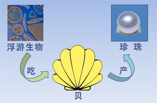 核电站搞出新副业 竟然是产珍珠！ 核电站 珍珠 第4张